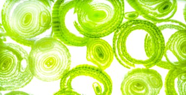 Renkli basit arka plan, dalgalı etkisi. Etkisi noktalarla. Ritmik ses parçacıklar. Tahıl doku. Renkli darbeleri ile duvar kağıdı. Duvar iç tasarım, lockscreen, paket için desen