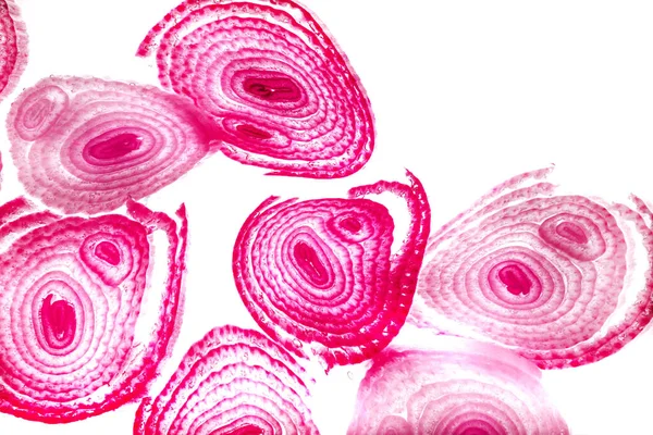 Renkli basit arka plan, dalgalı etkisi. Etkisi noktalarla. Ritmik ses parçacıklar. Tahıl doku. Renkli darbeleri ile duvar kağıdı. Duvar iç tasarım, lockscreen, paket için desen