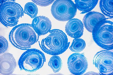 Renkli basit arka plan, dalgalı etkisi. Etkisi noktalarla. Ritmik ses parçacıklar. Tahıl doku. Renkli darbeleri ile duvar kağıdı. Duvar iç tasarım, lockscreen, paket için desen