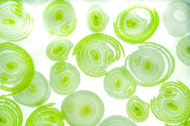 Renkli basit arka plan, dalgalı etkisi. Etkisi noktalarla. Ritmik ses parçacıklar. Tahıl doku. Renkli darbeleri ile duvar kağıdı. Duvar iç tasarım, lockscreen, paket için desen