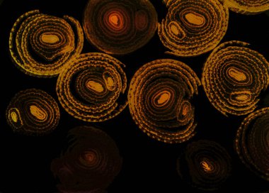 Renkli basit arka plan, dalgalı etkisi. Etkisi noktalarla. Ritmik ses parçacıklar. Tahıl doku. Renkli darbeleri ile duvar kağıdı. Duvar iç tasarım, lockscreen, paket için desen