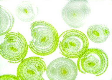 Renkli basit arka plan, dalgalı etkisi. Etkisi noktalarla. Ritmik ses parçacıklar. Tahıl doku. Renkli darbeleri ile duvar kağıdı. Duvar iç tasarım, lockscreen, paket için desen