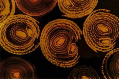 Renkli basit arka plan, dalgalı etkisi. Etkisi noktalarla. Ritmik ses parçacıklar. Tahıl doku. Renkli darbeleri ile duvar kağıdı. Duvar iç tasarım, lockscreen, paket için desen