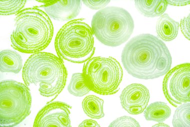 Renkli basit arka plan, dalgalı etkisi. Etkisi noktalarla. Ritmik ses parçacıklar. Tahıl doku. Renkli darbeleri ile duvar kağıdı. Duvar iç tasarım, lockscreen, paket için desen