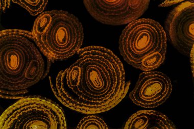 Renkli basit arka plan, dalgalı etkisi. Etkisi noktalarla. Ritmik ses parçacıklar. Tahıl doku. Renkli darbeleri ile duvar kağıdı. Duvar iç tasarım, lockscreen, paket için desen