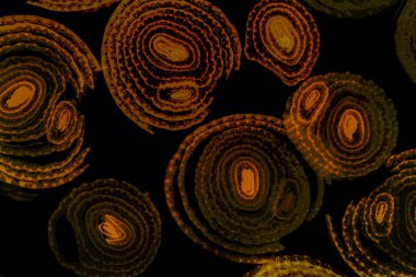 Renkli basit arka plan, dalgalı etkisi. Etkisi noktalarla. Ritmik ses parçacıklar. Tahıl doku. Renkli darbeleri ile duvar kağıdı. Duvar iç tasarım, lockscreen, paket için desen