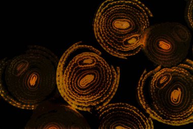 Renkli basit arka plan, dalgalı etkisi. Etkisi noktalarla. Ritmik ses parçacıklar. Tahıl doku. Renkli darbeleri ile duvar kağıdı. Duvar iç tasarım, lockscreen, paket için desen