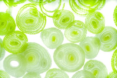 Renkli basit arka plan, dalgalı etkisi. Etkisi noktalarla. Ritmik ses parçacıklar. Tahıl doku. Renkli darbeleri ile duvar kağıdı. Duvar iç tasarım, lockscreen, paket için desen