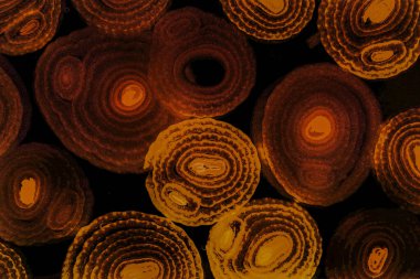 Renkli basit arka plan, dalgalı etkisi. Etkisi noktalarla. Ritmik ses parçacıklar. Tahıl doku. Renkli darbeleri ile duvar kağıdı. Duvar iç tasarım, lockscreen, paket için desen