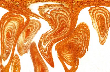 Renkli basit arka plan, dalgalı etkisi. Etkisi noktalarla. Ritmik ses parçacıklar. Tahıl doku. Renkli darbeleri ile duvar kağıdı. Duvar iç tasarım, lockscreen, paket için desen