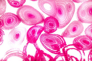 Renkli basit arka plan, dalgalı etkisi. Etkisi noktalarla. Ritmik ses parçacıklar. Tahıl doku. Renkli darbeleri ile duvar kağıdı. Duvar iç tasarım, lockscreen, paket için desen