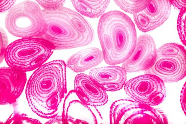 Renkli basit arka plan, dalgalı etkisi. Etkisi noktalarla. Ritmik ses parçacıklar. Tahıl doku. Renkli darbeleri ile duvar kağıdı. Duvar iç tasarım, lockscreen, paket için desen