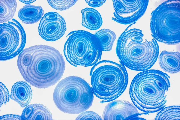 Renkli basit arka plan, dalgalı etkisi. Etkisi noktalarla. Ritmik ses parçacıklar. Tahıl doku. Renkli darbeleri ile duvar kağıdı. Duvar iç tasarım, lockscreen, paket için desen