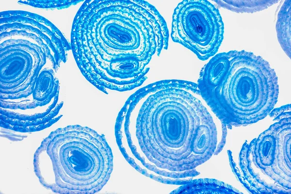 Renkli basit arka plan, dalgalı etkisi. Etkisi noktalarla. Ritmik ses parçacıklar. Tahıl doku. Renkli darbeleri ile duvar kağıdı. Duvar iç tasarım, lockscreen, paket için desen