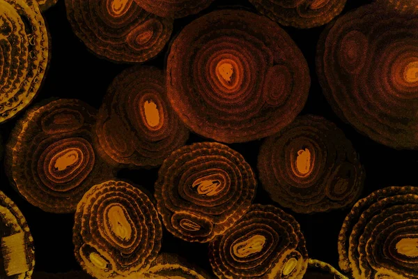 Renkli basit arka plan, dalgalı etkisi. Etkisi noktalarla. Ritmik ses parçacıklar. Tahıl doku. Renkli darbeleri ile duvar kağıdı. Duvar iç tasarım, lockscreen, paket için desen