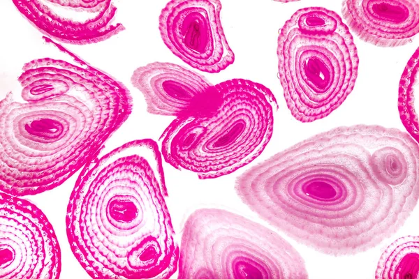 Renkli basit arka plan, dalgalı etkisi. Etkisi noktalarla. Ritmik ses parçacıklar. Tahıl doku. Renkli darbeleri ile duvar kağıdı. Duvar iç tasarım, lockscreen, paket için desen