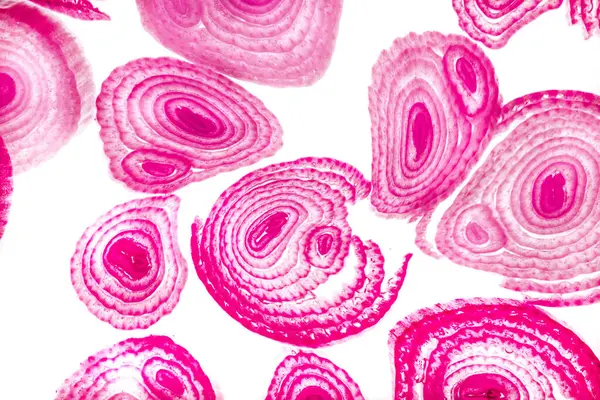 Renkli basit arka plan, dalgalı etkisi. Etkisi noktalarla. Ritmik ses parçacıklar. Tahıl doku. Renkli darbeleri ile duvar kağıdı. Duvar iç tasarım, lockscreen, paket için desen