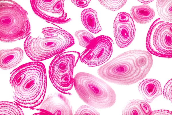 Renkli basit arka plan, dalgalı etkisi. Etkisi noktalarla. Ritmik ses parçacıklar. Tahıl doku. Renkli darbeleri ile duvar kağıdı. Duvar iç tasarım, lockscreen, paket için desen