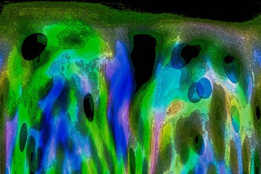 Doğal bokeh ve parlak altın ışıklar. Renkli bokeh ile vintage Magic arka planı.