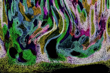 Dalgalı çizgiler. Soyut çizgiler. Doku arka planı. düzensiz desen. Şık modern. Pop sanat. Nokta etkisi. Ritmik gürültü parçacıkları. Paket için desen. Renkli vuruşlu duvar kağıdı.