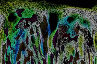 Dalgalı çizgiler. Soyut çizgiler. Doku arka planı. düzensiz desen. Şık modern. Pop sanat. Nokta etkisi. Ritmik gürültü parçacıkları. Paket için desen. Renkli vuruşlu duvar kağıdı.