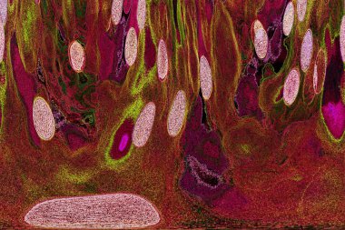 Dalgalı çizgiler. Soyut çizgiler. Doku arka planı. düzensiz desen. Şık modern. Pop sanat. Nokta etkisi. Ritmik gürültü parçacıkları. Paket için desen. Renkli vuruşlu duvar kağıdı.