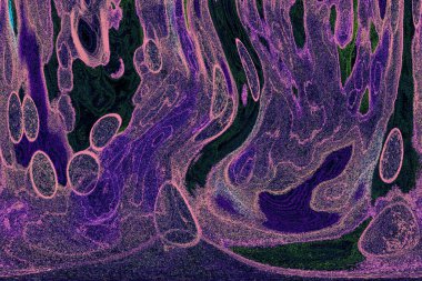 Dalgalı çizgiler. Soyut çizgiler. Doku arka planı. düzensiz desen. Şık modern. Pop sanat. Nokta etkisi. Ritmik gürültü parçacıkları. Paket için desen. Renkli vuruşlu duvar kağıdı.