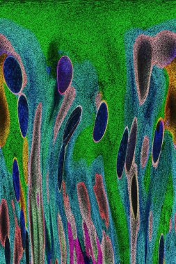 Dalgalı çizgiler. Soyut çizgiler. Doku arka planı. düzensiz desen. Şık modern. Pop sanat. Nokta etkisi. Ritmik gürültü parçacıkları. Paket için desen. Renkli vuruşlu duvar kağıdı.