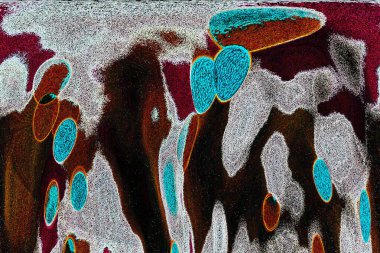 Dalgalı çizgiler. Soyut çizgiler. Doku arka planı. düzensiz desen. Şık modern. Pop sanat. Nokta etkisi. Ritmik gürültü parçacıkları. Paket için desen. Renkli vuruşlu duvar kağıdı.