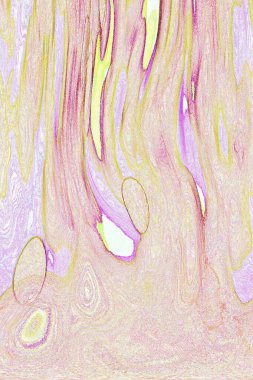 Dalgalı çizgiler. Soyut çizgiler. Doku arka planı. düzensiz desen. Şık modern. Pop sanat. Nokta etkisi. Ritmik gürültü parçacıkları. Paket için desen. Renkli vuruşlu duvar kağıdı.