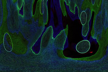 Dalgalı çizgiler. Soyut çizgiler. Doku arka planı. düzensiz desen. Şık modern. Pop sanat. Nokta etkisi. Ritmik gürültü parçacıkları. Paket için desen. Renkli vuruşlu duvar kağıdı.