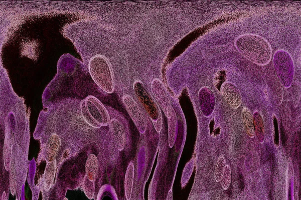 Dalgalı çizgiler. Soyut çizgiler. Doku arka planı. düzensiz desen. Şık modern. Pop sanat. Nokta etkisi. Ritmik gürültü parçacıkları. Paket için desen. Renkli vuruşlu duvar kağıdı.