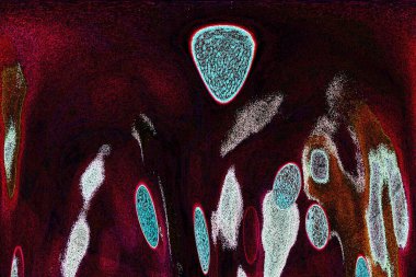 Dalgalı çizgiler. Soyut çizgiler. Doku arka planı. düzensiz desen. Şık modern. Pop sanat. Nokta etkisi. Ritmik gürültü parçacıkları. Paket için desen. Renkli vuruşlu duvar kağıdı.