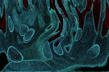 Dalgalı çizgiler. Soyut çizgiler. Doku arka planı. düzensiz desen. Şık modern. Pop sanat. Nokta etkisi. Ritmik gürültü parçacıkları. Paket için desen. Renkli vuruşlu duvar kağıdı.