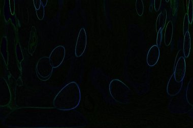 Dalgalı çizgiler. Soyut çizgiler. Doku arka planı. düzensiz desen. Şık modern. Pop sanat. Nokta etkisi. Ritmik gürültü parçacıkları. Paket için desen. Renkli vuruşlu duvar kağıdı.