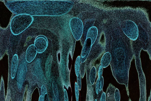 Dalgalı çizgiler. Soyut çizgiler. Doku arka planı. düzensiz desen. Şık modern. Pop sanat. Nokta etkisi. Ritmik gürültü parçacıkları. Paket için desen. Renkli vuruşlu duvar kağıdı.