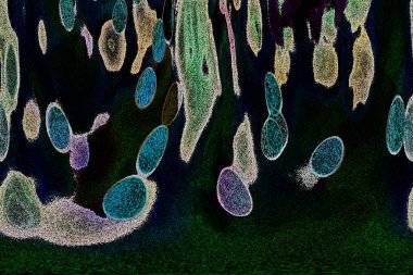 Dalgalı çizgiler. Soyut çizgiler. Doku arka planı. düzensiz desen. Şık modern. Pop sanat. Nokta etkisi. Ritmik gürültü parçacıkları. Paket için desen. Renkli vuruşlu duvar kağıdı.