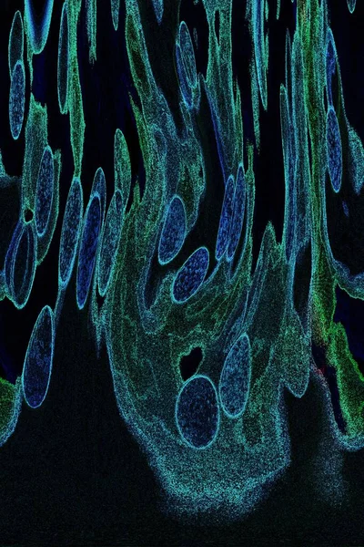 Dalgalı çizgiler. Soyut çizgiler. Doku arka planı. düzensiz desen. Şık modern. Pop sanat. Nokta etkisi. Ritmik gürültü parçacıkları. Paket için desen. Renkli vuruşlu duvar kağıdı.