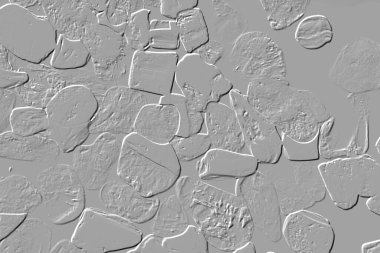 Yaratıcı model. Taş deseni. Seramik doku. Duvar kağıdı tasarımı. Vektör deseni. Satırları tekrarla.