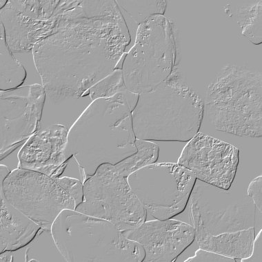 Yaratıcı model. Taş deseni. Seramik doku. Duvar kağıdı tasarımı. Vektör deseni. Satırları tekrarla.