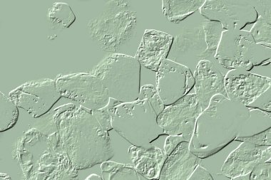 Yaratıcı model. Taş deseni. Seramik doku. Duvar kağıdı tasarımı. Vektör deseni. Satırları tekrarla.