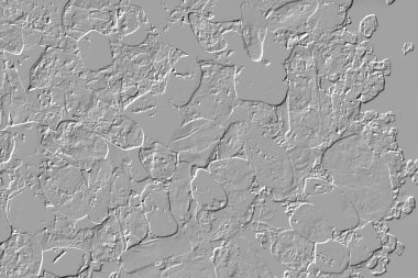 Yaratıcı model. Taş deseni. Seramik doku. Duvar kağıdı tasarımı. Vektör deseni. Satırları tekrarla.