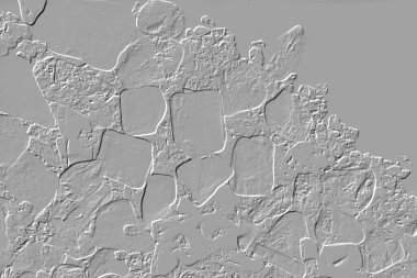 Yaratıcı model. Taş deseni. Seramik doku. Duvar kağıdı tasarımı. Vektör deseni. Satırları tekrarla.