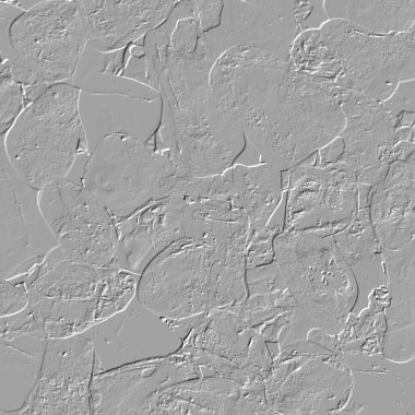 Yaratıcı model. Taş deseni. Seramik doku. Duvar kağıdı tasarımı. Vektör deseni. Satırları tekrarla.