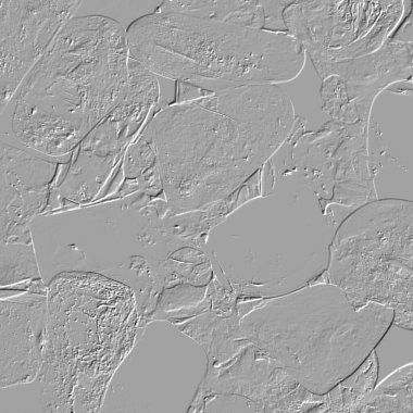 Yaratıcı model. Taş deseni. Seramik doku. Duvar kağıdı tasarımı. Vektör deseni. Satırları tekrarla.