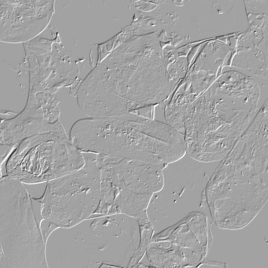 Yaratıcı model. Taş deseni. Seramik doku. Duvar kağıdı tasarımı. Vektör deseni. Satırları tekrarla.