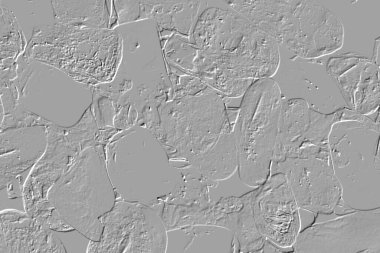 Yaratıcı model. Taş deseni. Seramik doku. Duvar kağıdı tasarımı. Vektör deseni. Satırları tekrarla.