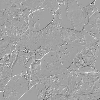 Yaratıcı model. Taş deseni. Seramik doku. Duvar kağıdı tasarımı. Vektör deseni. Satırları tekrarla.