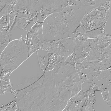 Yaratıcı model. Taş deseni. Seramik doku. Duvar kağıdı tasarımı. Vektör deseni. Satırları tekrarla.