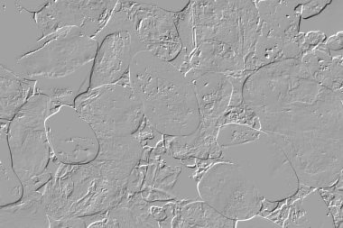 Yaratıcı model. Taş deseni. Seramik doku. Duvar kağıdı tasarımı. Vektör deseni. Satırları tekrarla.